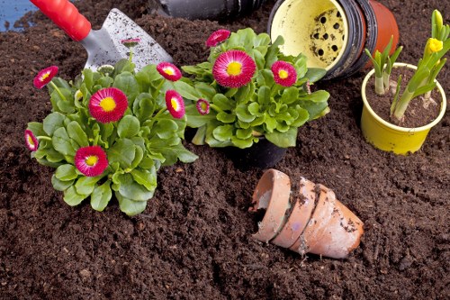 Landscaping Chiswick introduction with outdoor design concept