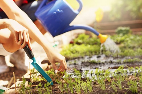 Garden drainage assessment in a Chiswick residential garden