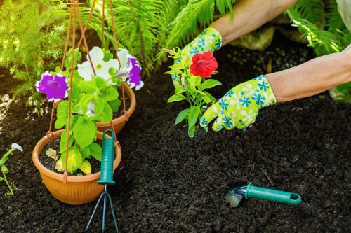 Free quote discussion for a landscaped residential garden