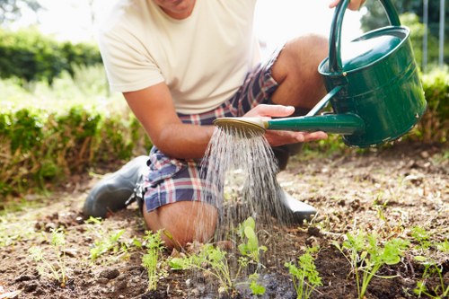 Accessible landscaping Chiswick content on a clear and inclusive page