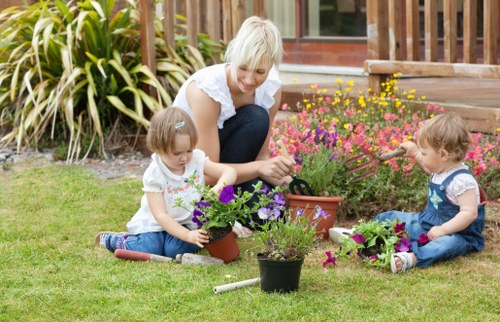 Fresh planting and lawn work for a Chiswick garden