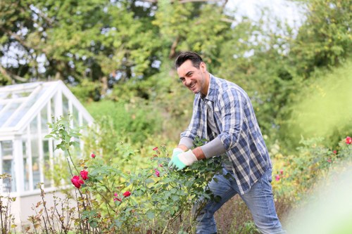 Professional turf installation work in a west London residential garden