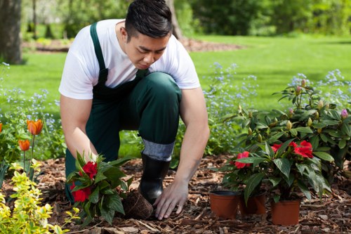 Border planting and turf installation in Chiswick