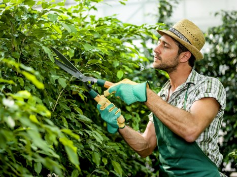Payment and invoice terms for landscaping project