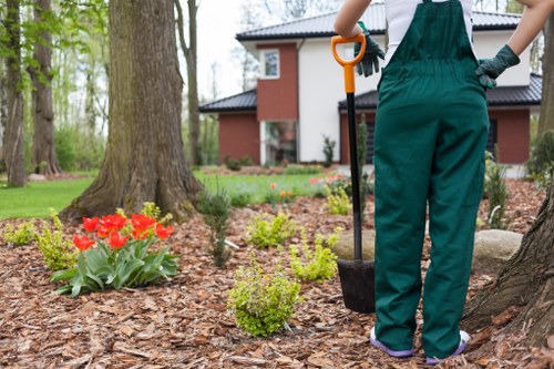 Outdoor site risk check before landscaping work begins