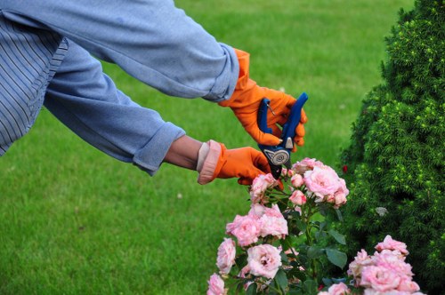 Professional landscaping for a compact West London garden