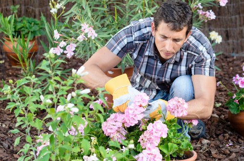 Supplier compliance review documents for landscaping operations
