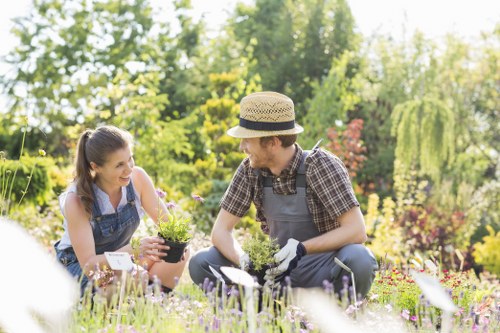 Low-maintenance garden planting for a Chiswick home